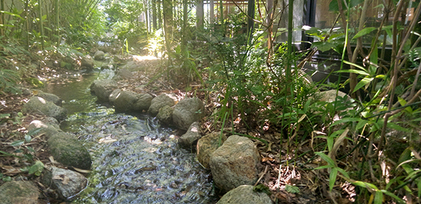 一水庵の川床の写真