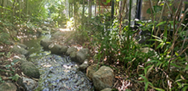 一水庵の川床の写真