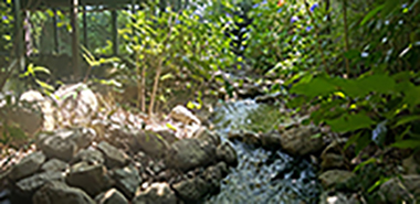 一水庵の川床の写真